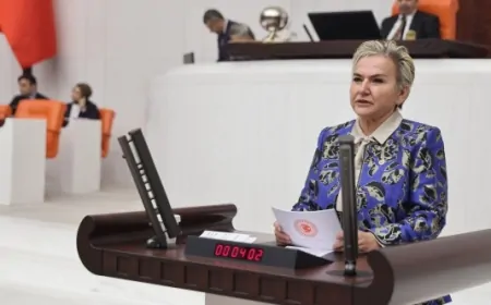 CHP'li Nimet Özdemir: 'Sokak Hayvanlarının Yok Edilmesi, Toplum Olarak Sınavı Geçemediğimizin Göstergesidir'