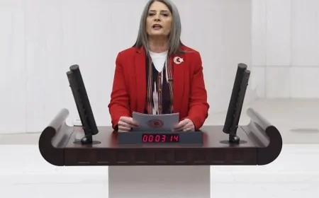 CHP'li Sibel Suiçmez: 'Yargıyı Siyasallaştırarak Hukuk Devleti İlkeleri Yok Edildi'