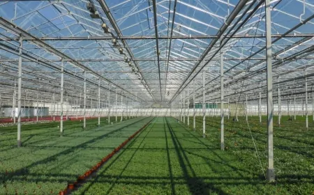 Sera Yatırım Günleri, Türk Sera Yatırımcıları ve Üreticilerini Buluşturacak