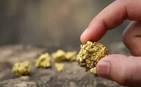 Türkiye’nin Altın Rezervleri Artıyor: MTA'nın Haritasında Öne Çıkan Yataklar