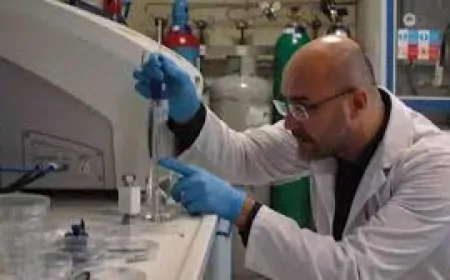 Sabancı Üniversitesi Öğrencileri Kargaların Taşıdığı Taşın Uzay Kökenli Olduğunu Keşfetti