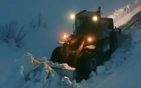 Tarım ve Orman Bakanlığı: ‘Karla kapanan orman yollarını açıyoruz’