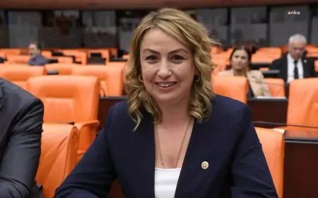 Nermin Yıldırım Kara: ‘Hataylı çiftçiler su sıkıntısı yaşıyor, DSİ yatırımlarını artırmalı’