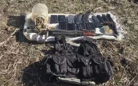 Mardin'de 'Hücre-13' operasyonu: Organize suç örgütüne darbe