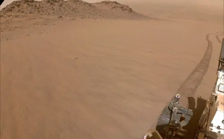 NASA’nın Perseverance Aracı, Jezero Krateri'nin Zirvesine Ulaştı