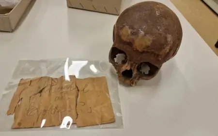 Kleopatra’nın Kardeşi Sanılan Kafatası, Genç Bir Erkek Çocuğa Ait Çıktı