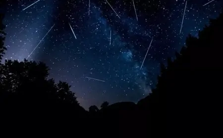 Gökyüzünde Muhteşem Gösteri: Meteor Yağmurları Nasıl ve Ne Zaman İzlenir?
