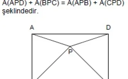 Yamuk Nedir, Özellikleri ve Alan Hesaplama Yöntemleri Nelerdir?