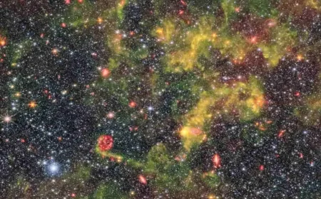 Yerel Grubun Gizemli Üyesi: NGC 6822'nin Yıldız Oluşumu Dikkat Çekiyor