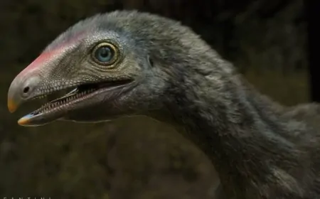 Brezilya'da Bulunan 3.500 Yıllık Fosiller, Dev Yaratıkların Beklenenden Daha Uzun Süre Yaşadığını Gösteriyor