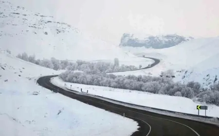 Bingöl'de 19-20 Şubat Arasında Kuvvetli Kar Yağışı ve Çığ Riski! Buzlanma ve Don Uyarısı Yapıldı