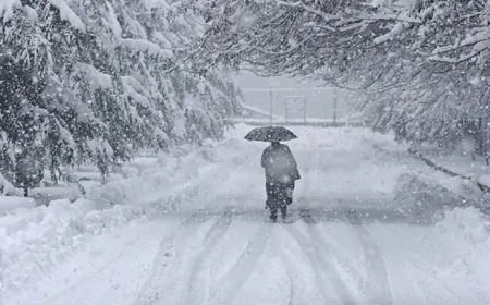 Tunceli’de 19-20 Şubat’ta Yoğun Kar Yağışı ve Buzlanma Uyarısı! Karla Karışık Yağmur Etkili Olacak