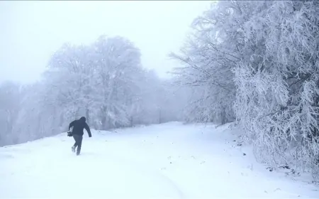 Tekirdağ'da Kar Yağışı Başladı! Trafik ve Ulaşımda Zorluklar Yaşanabilir