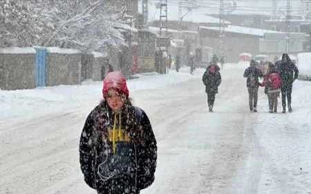 Van'da Kar Yağışı ve Buzlanma Uyarısı: 20 Şubat’a Kadar Dikkat Edilmesi Gerekiyor