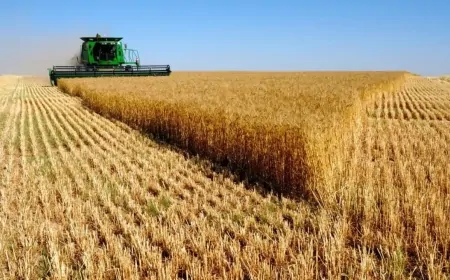 TARIM SEKTÖRÜ İHRACATLA EKONOMİYE 32,6 MİLYAR DOLAR KATKI SAĞLADI