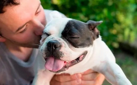 Köpekler, İnsanlar Gibi, Göz Kırpışıyla Bağ Kurabiliyor