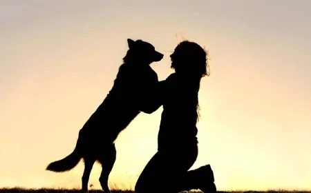 12.000 Yıl Önce İnsan ve Köpek Arasındaki Arkadaşlık Başladı