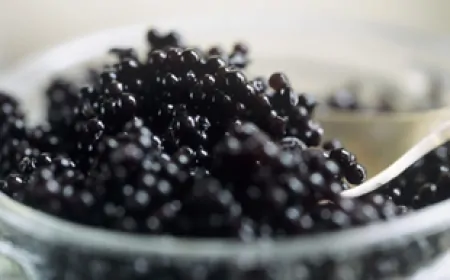 Türk havyarı, dünya pazarına çıkıyor: 2025 hedefi büyüyor