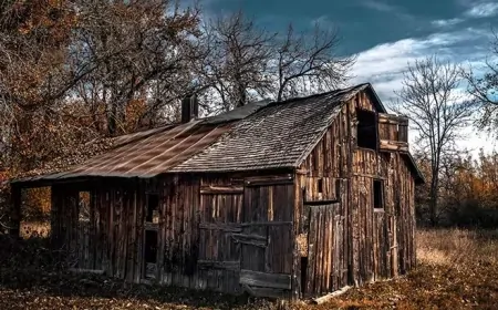 Rüyada Ahşap Ev Görmek: Geçmişle Bağlantı ve İçsel Huzurun Simgesi