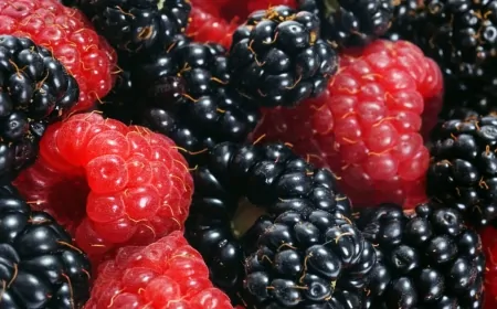 Rüyada Ahududu Görmek Ne Anlama Gelir? İslam'a Göre Yorumları ve Detaylı Açıklamalar