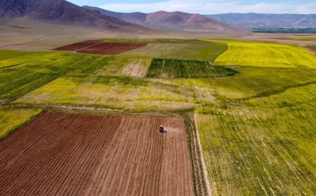 Tarım Arazileri Büyüyor: Toplulaştırma ile 7,4 Milyon Hektar Birleşti