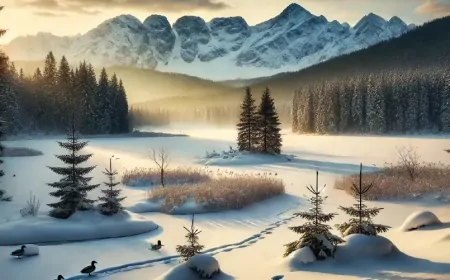 Kar Neden Önce Ağaç Diplerinden Erir? Doğanın Mükemmel Dengesine Dair İlginç Detaylar