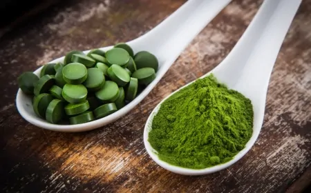 Geleceğin Gıdaları: Mikroalgler, Mantar Proteinleri ve Un Kurtları Üzerine Araştırma