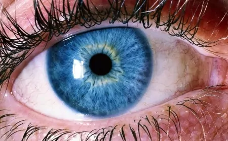 İnsan Gözleri 10 Milyona Kadar Renk Ayırt Edebilir! Görme Yetimizin Sınırları Neler?