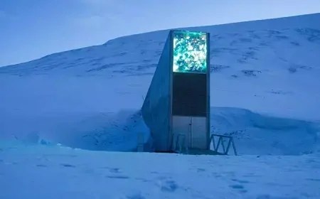 Norveç’te 1 Milyon Tohum Saklanıyor! Kıyamet Günü Deposu Dünyayı Kurtarabilir