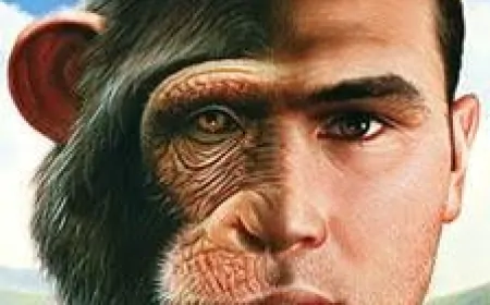 İnsan DNA’sının %99’u Şempanzelerle Aynı! Aradaki %1’lik Fark Ne Anlama Geliyor?