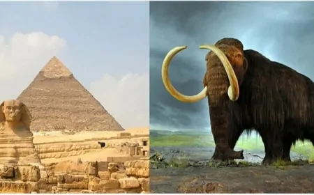 Mısır Piramitleri İnşa Edilirken Mamutar Hâlâ Hayattaydı!