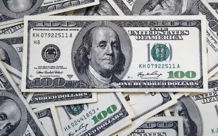 Ekonomistler dolar tahminlerini açıkladı: Yılın ilk yarısında bu seviyeler görülebilir