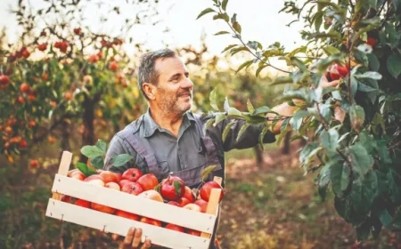 Yerli girişimciler modern tarımla yatırımcıların radarında