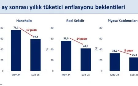 Reel Sektörün 12 Aylık Enflasyon Beklentisi Yüzde 41,9’a Geriledi
