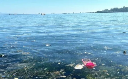 Bebek Sahili'nde Deniz Kirliliği Büyüyor: Vatandaşlardan Sert Tepki