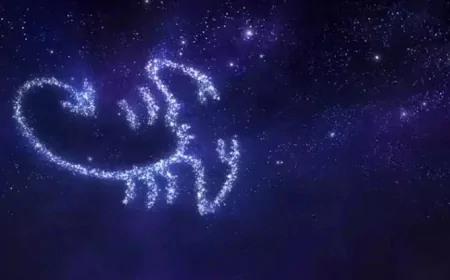 Akrep Burcunu Bugün Neler Bekliyor? Duygusal Geçmişe Dikkat!