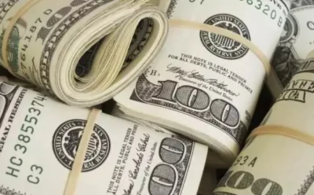 Yurt İçi Yerleşiklerin Döviz Mevduatları 4,3 Milyar Dolar Arttı