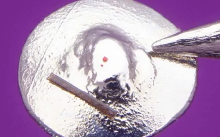 Guinness Rekoru Kırıldı: Dünyanın En Küçük Lego Parçası Üretildi!