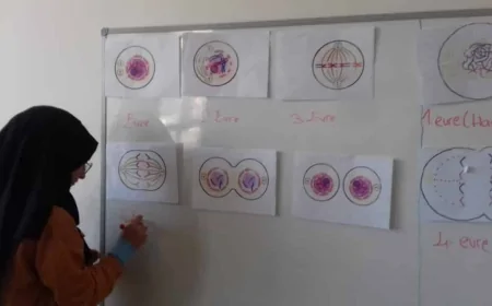 Mayoz Bölünmenin Canlılar Üzerindeki Etkileri: Genetik Çeşitlilik ve Evrim Açısından Önemi