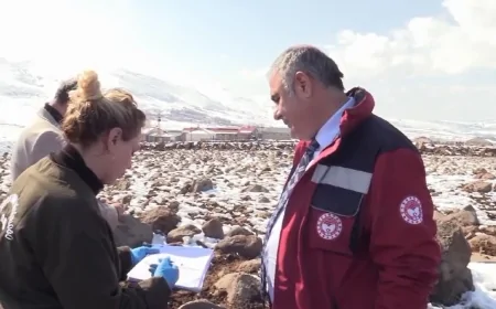 Elazığ’da Şap Hastalığına Karşı Kapsamlı Önlemler Devrede