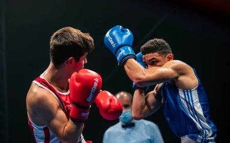 Bilim İnsanları Açıkladı: Boksörlerin Beyinleri Dövüşü Bırakınca Toparlanıyor