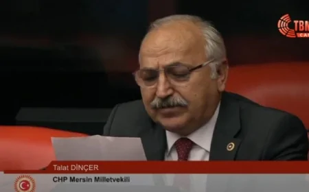 CHP’li Talat Dinçer: 'Mersin’de don afeti üreticiyi bitme noktasına getirdi, acil destek sağlanmalı'