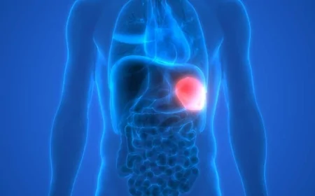 Dalak Hangi Tarafta? Dalak Ağrısı Nerede Hissedilir, Hangi Bölgelere Yayılır?