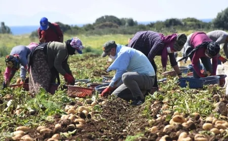 Tarımda Türkiye Yüzyılı Zirvesi başladı: Gıda güvenliği ve yerli üretim gündemde