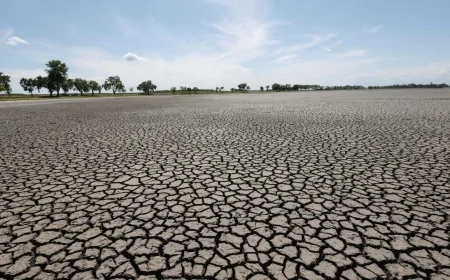 Kuraklık Büyük Şehirleri Tehdit Ediyor: Su Yönetiminde Kriz Kapıda