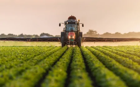 Türkiye’de Tarımın Geleceği: İklim Değişikliği ve Yeni Teknolojiler Öne Çıkıyor
