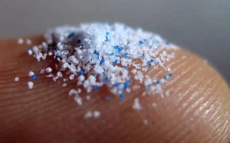 Denizlerde Mikroplastik Tehlikesi Büyüyor: Ekosistem ve Balıkçılık Risk Altında