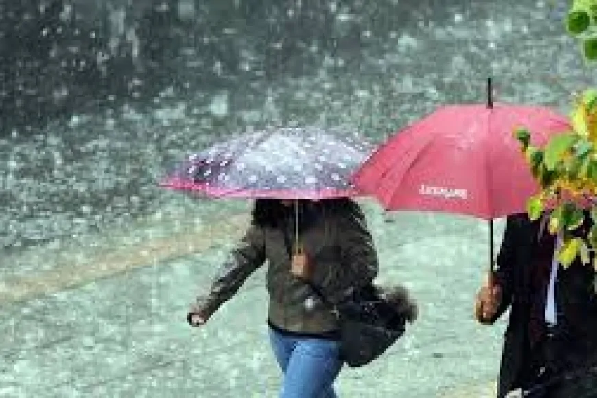 Trabzon’da parçalı ve çok bulutlu hava, yağış etkili olacak