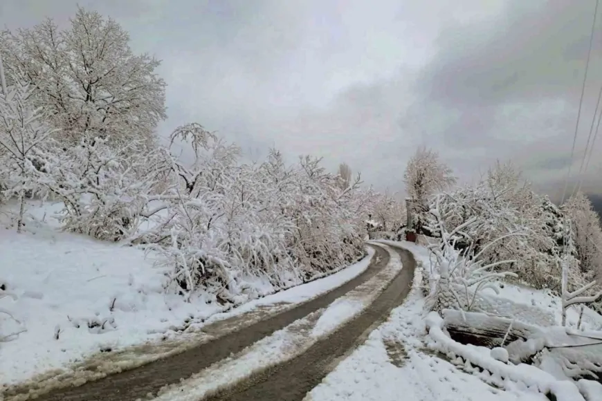 Artvin’de yağmur ve yüksek kesimlerde kar yağışı bekleniyor