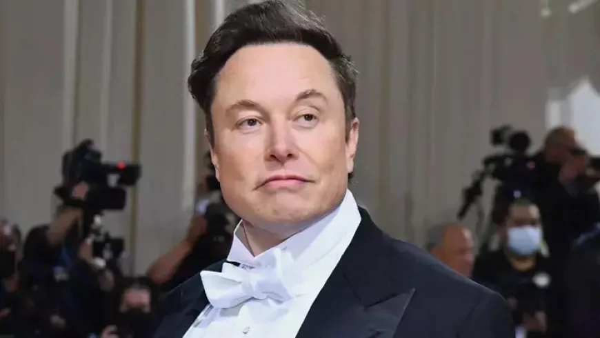 Elon Musk'ın Liderliğindeki 'Doge' Ekibi: ABD'nin operasyonunda Radikal Değişim Planı